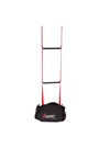 Fibrelight Ladder - LYON Equipment 