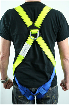 Harness and Restraint Lanyard Kit 
