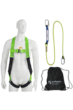 2-point Harness and Shock Absorbing Lanyard Kit 