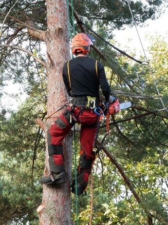Tree Climbing Equipment