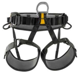 Seat harness